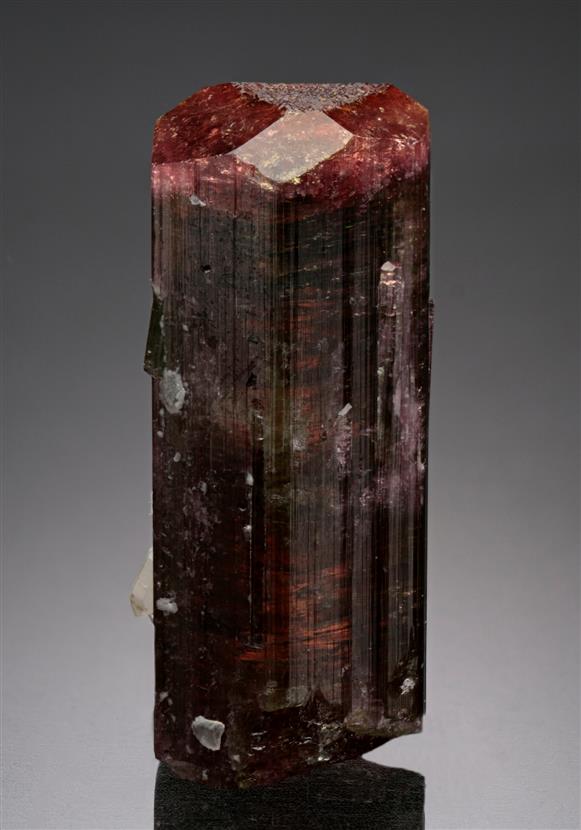 CC18701 specimen image