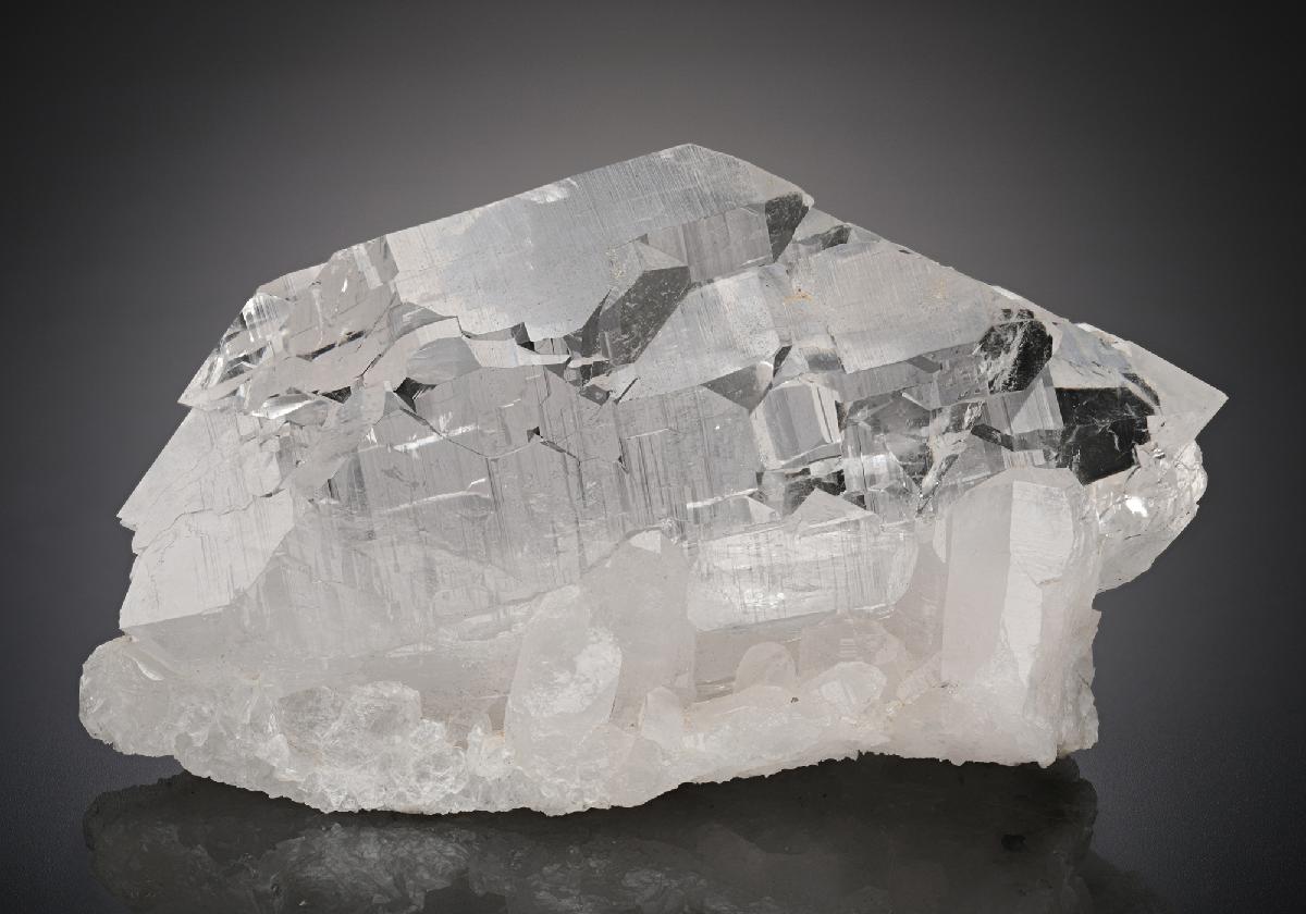 CC18731 specimen image