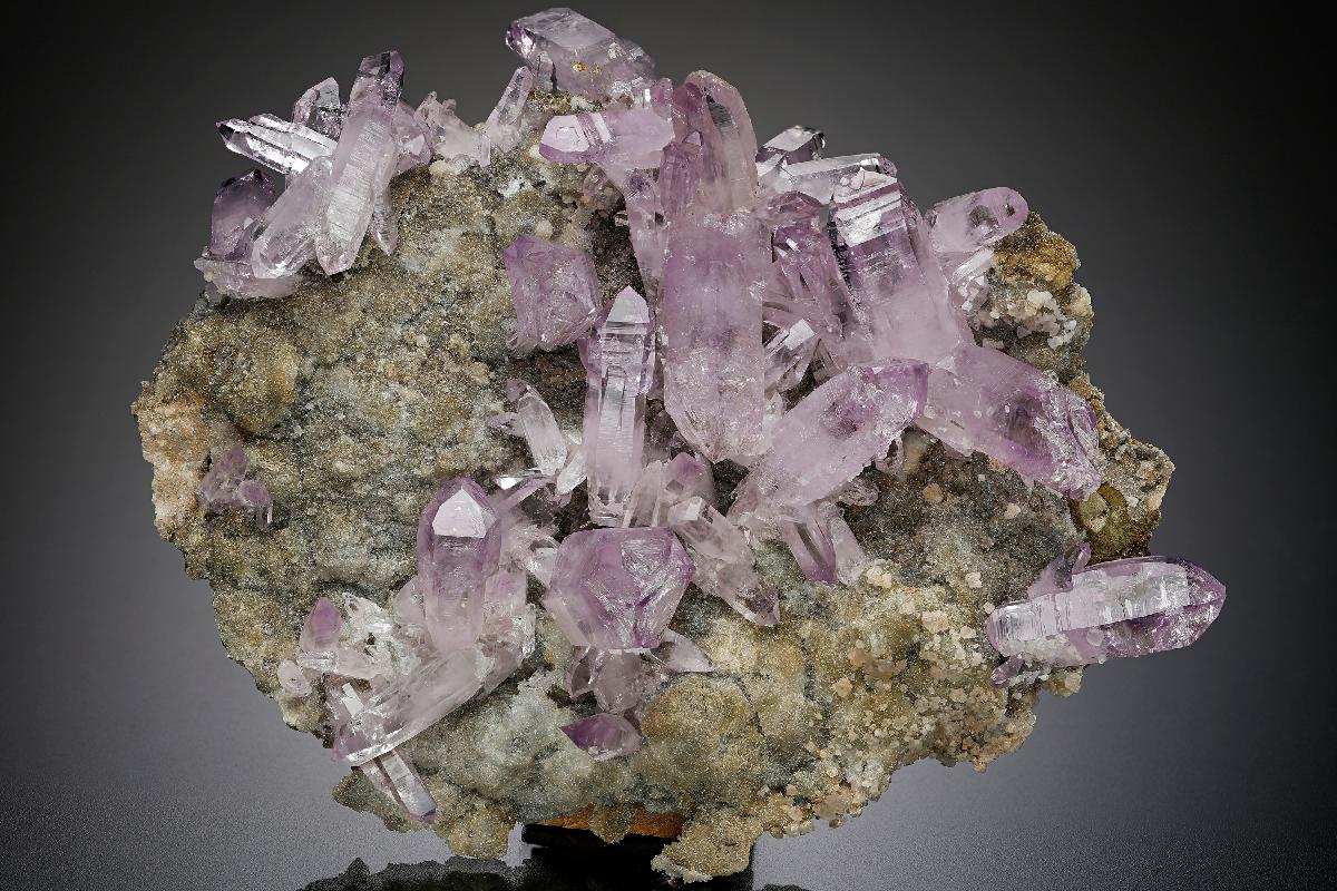 CC18870 specimen image