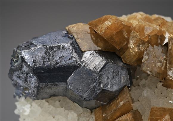 CC19026 specimen image