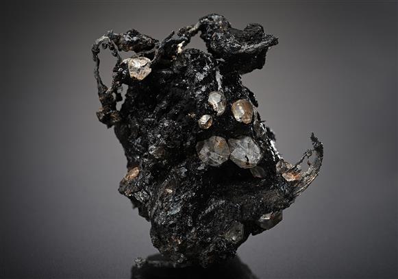CC19112 specimen image