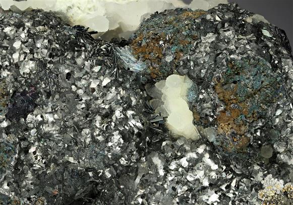 CC19166 specimen image