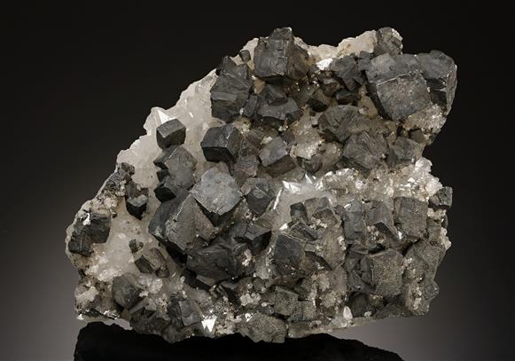 CC19184 specimen image