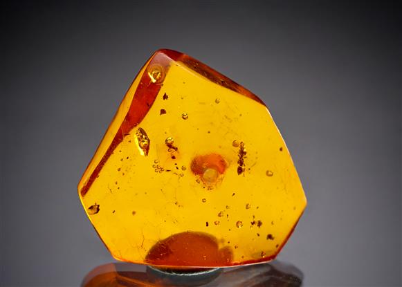 CC19242 specimen image