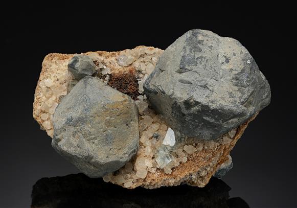 CC19295 specimen image