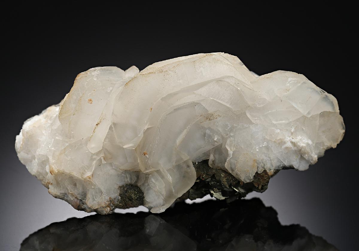 CC19296 specimen image