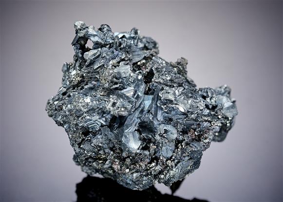 CC19406 specimen image
