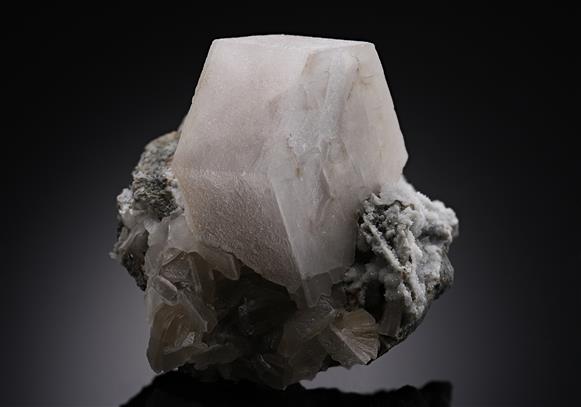 CC19452 specimen image