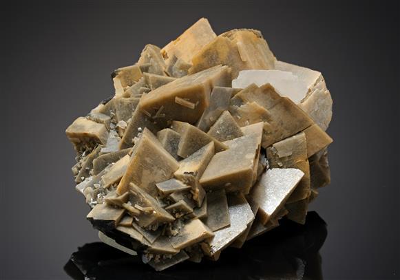 CC19635 specimen image