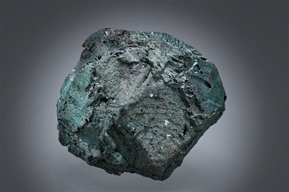 CC19644 specimen image