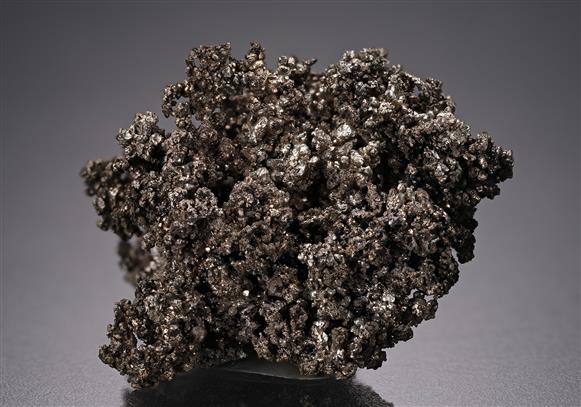 CC19652 specimen image