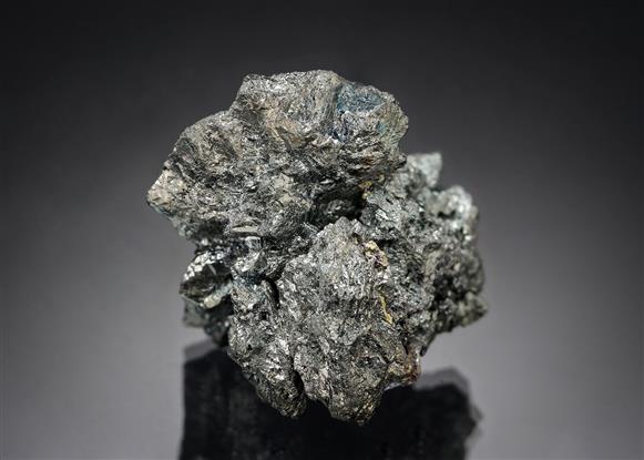 CC19661 specimen image
