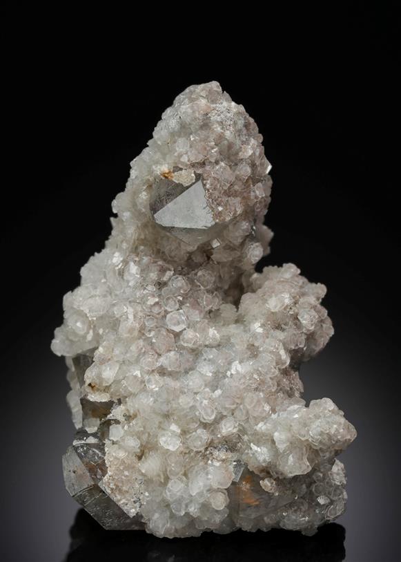 CC19687 specimen image