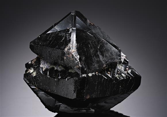CC19716 specimen image