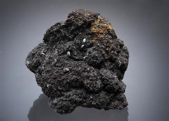 CC19727 specimen image