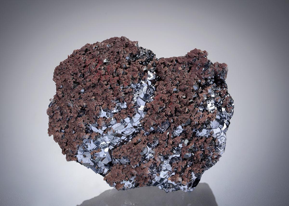 CC19754 specimen image
