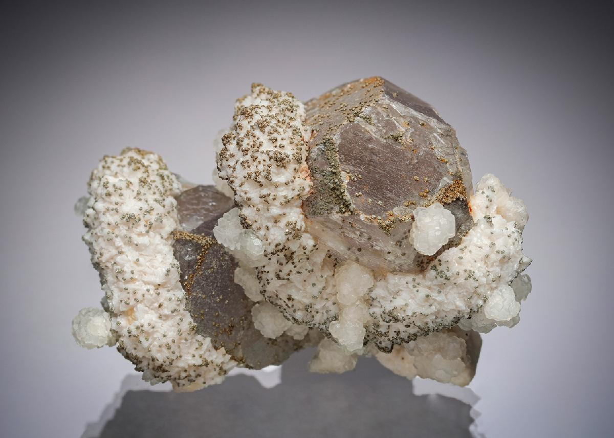CC19823 specimen image