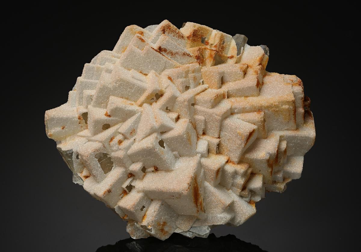 CC19898 specimen image