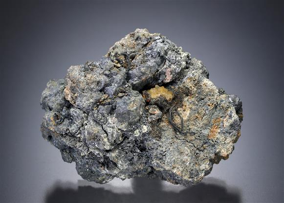 CC19904 specimen image