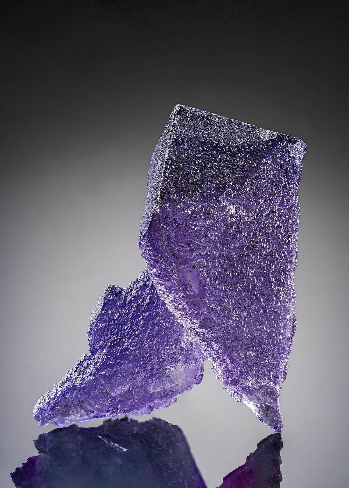 CC20021 specimen image
