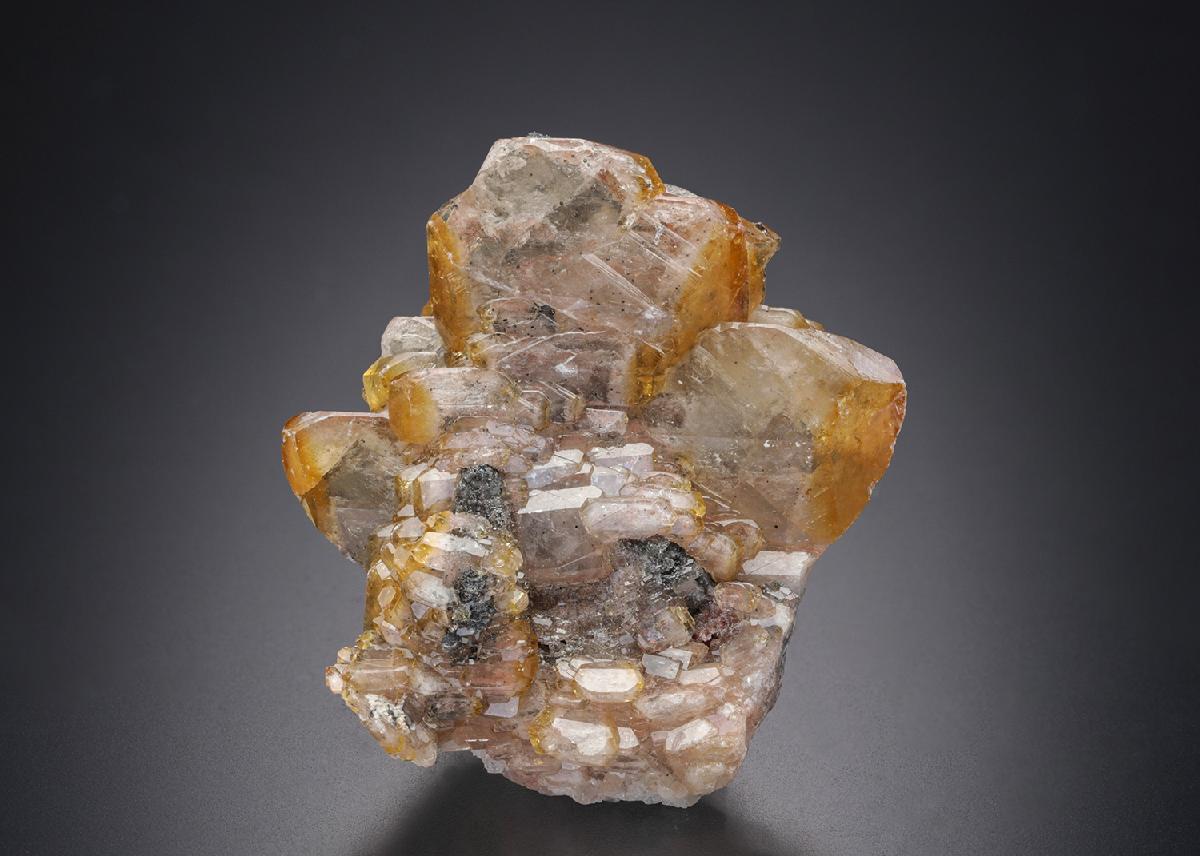 CC20106 specimen image