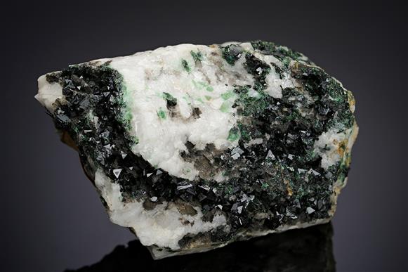 CC20171 specimen image
