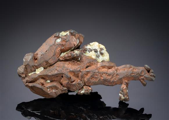 CC20218 specimen image