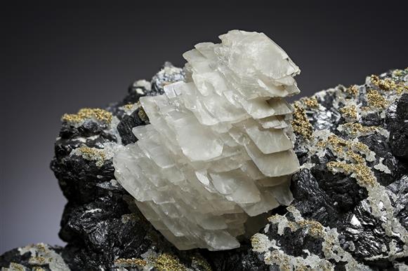 CC20245 specimen image