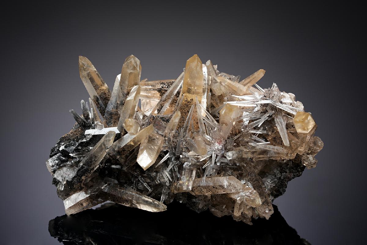 CC20269 specimen image