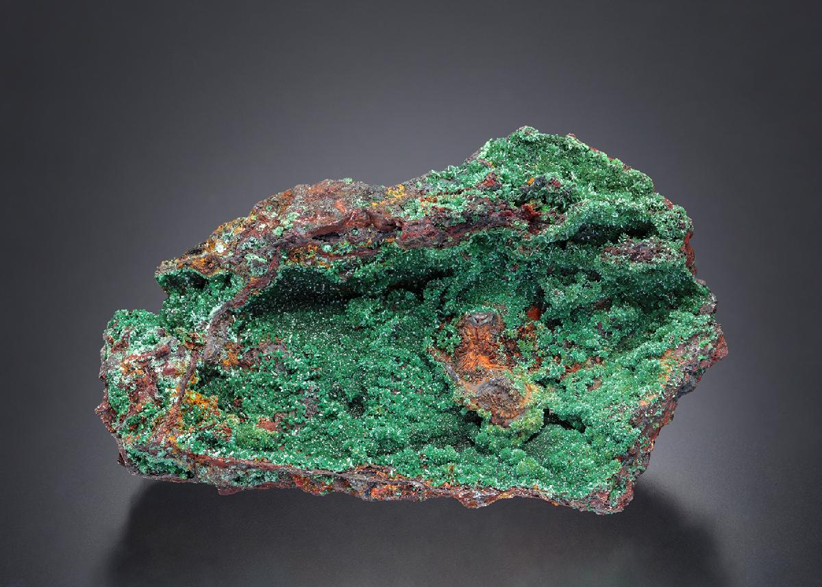 CC20285 specimen image