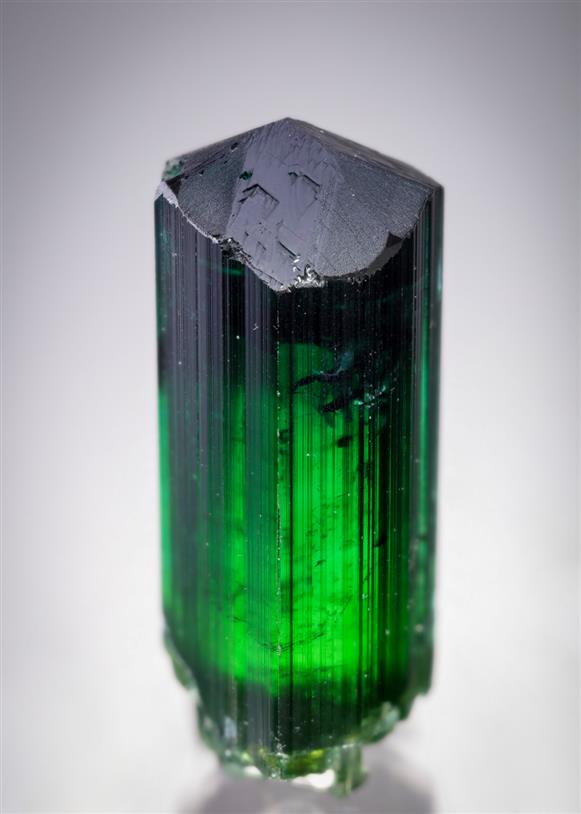 CC20424 specimen image