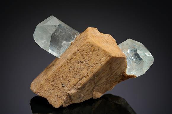 CC20501 specimen image