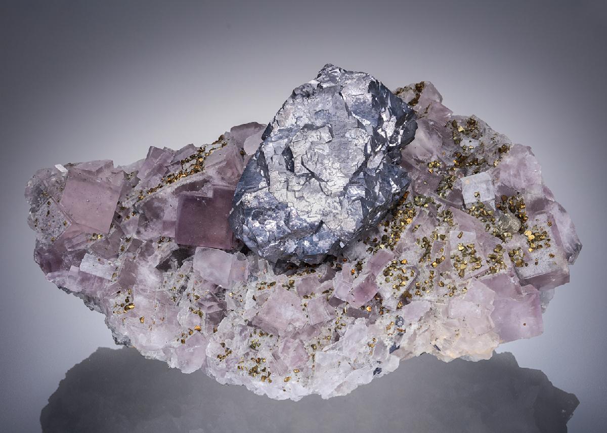 CC20508 specimen image