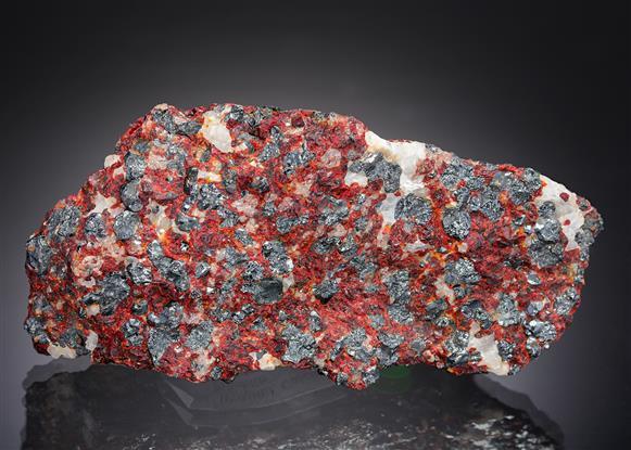 CC20789 specimen image