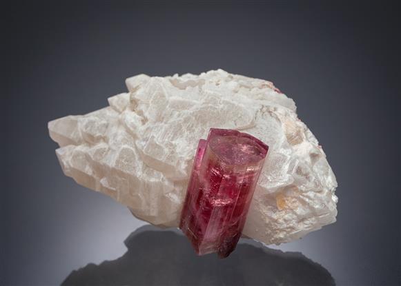 CC21037 specimen image