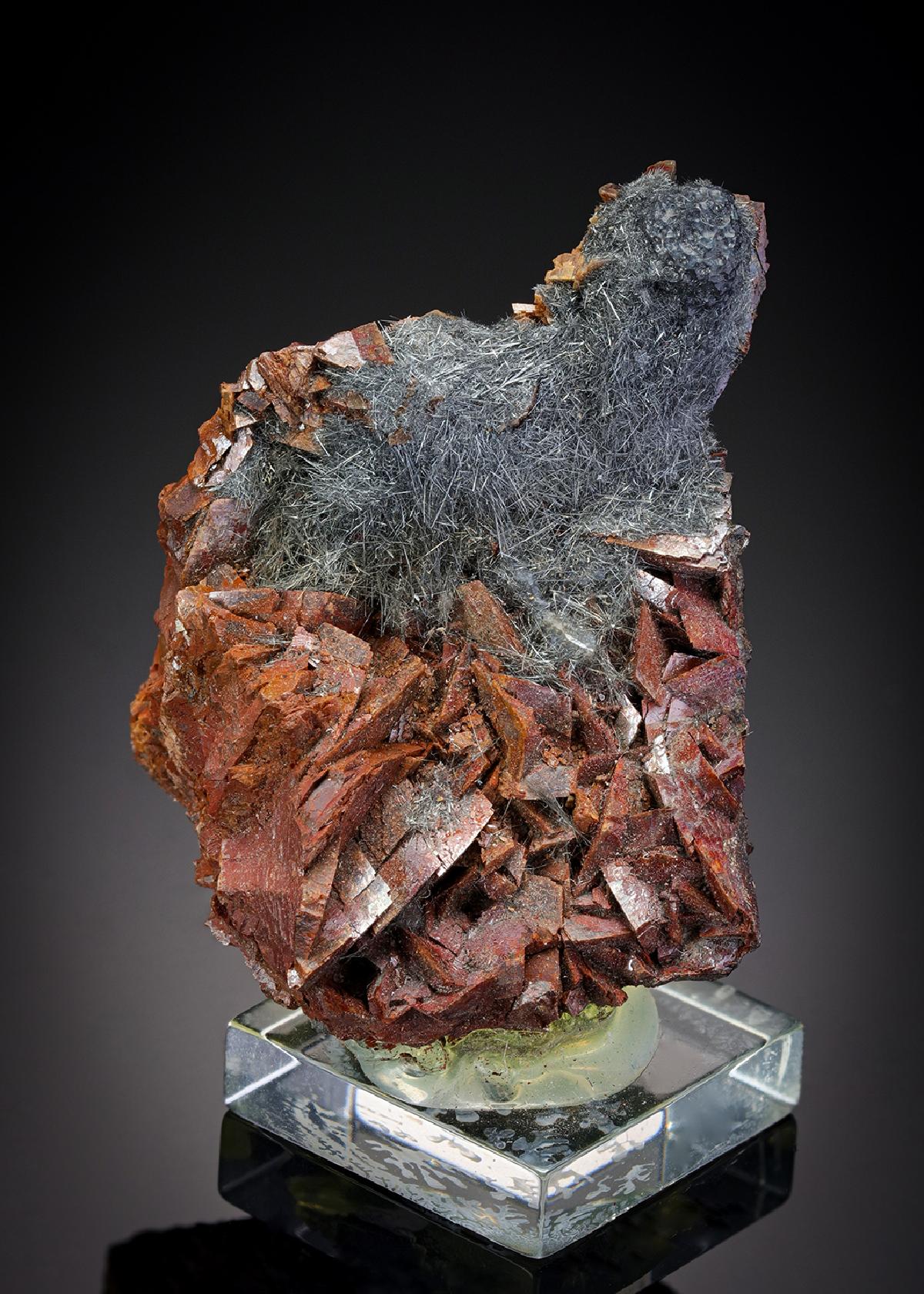 CC2106 specimen image