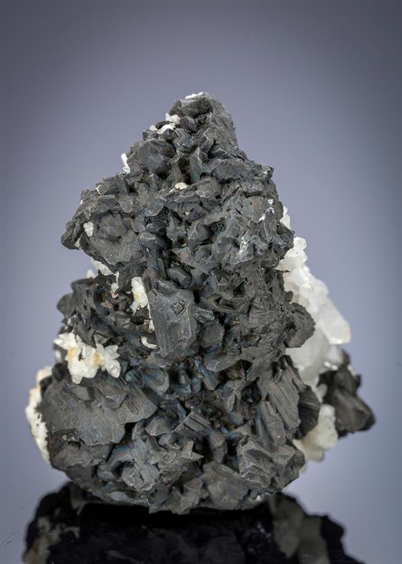 CC21188 specimen image