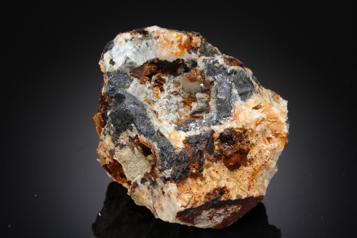 CC21233 specimen image