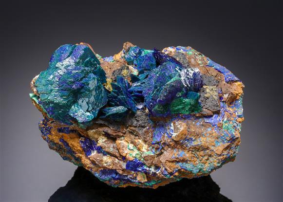 CC21252 specimen image