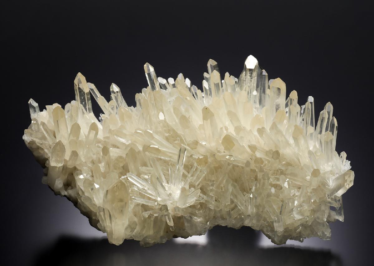 CC21347 specimen image