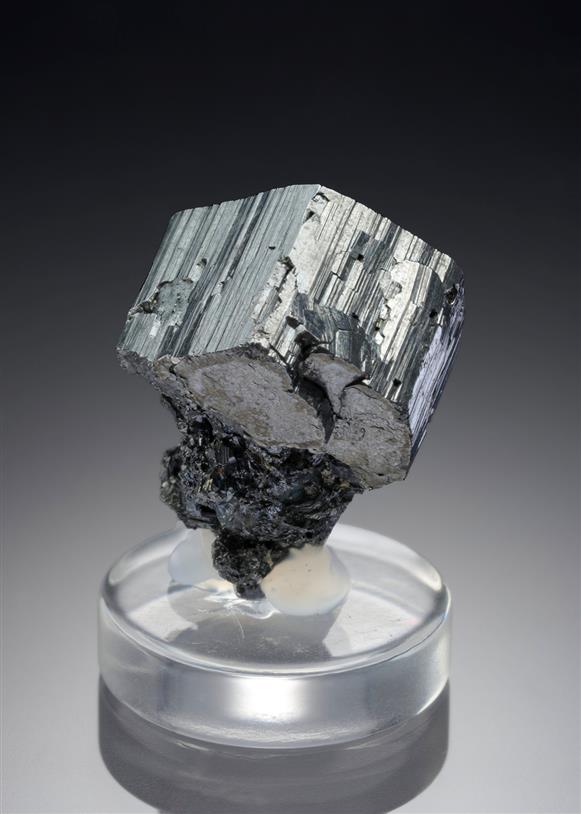 CC21449 specimen image