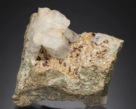 CC21589 specimen image