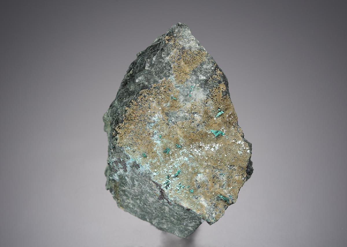 CC21600 specimen image