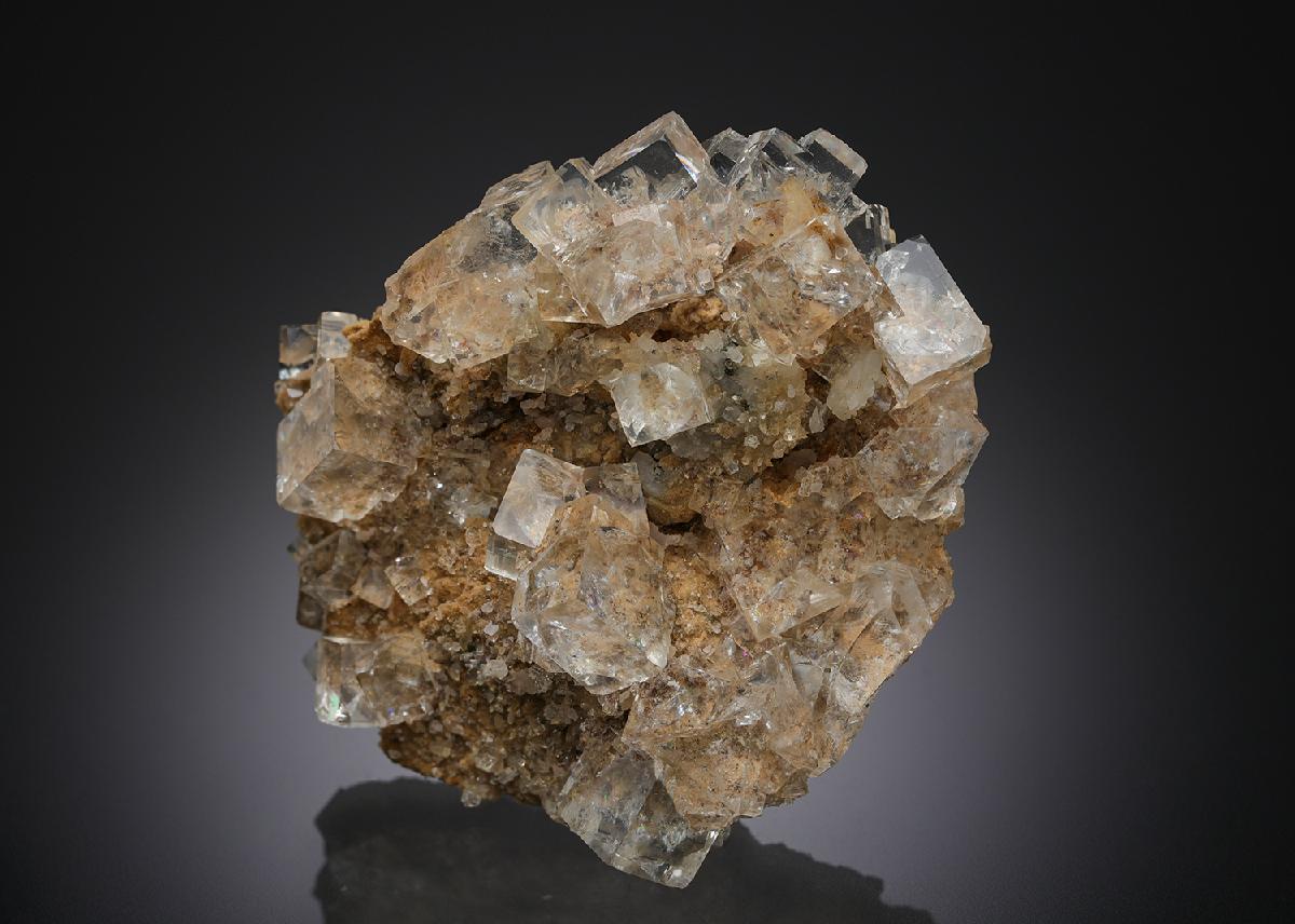 CC21665 specimen image