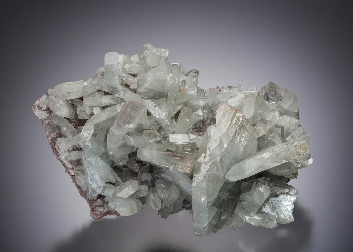 CC22217 specimen image