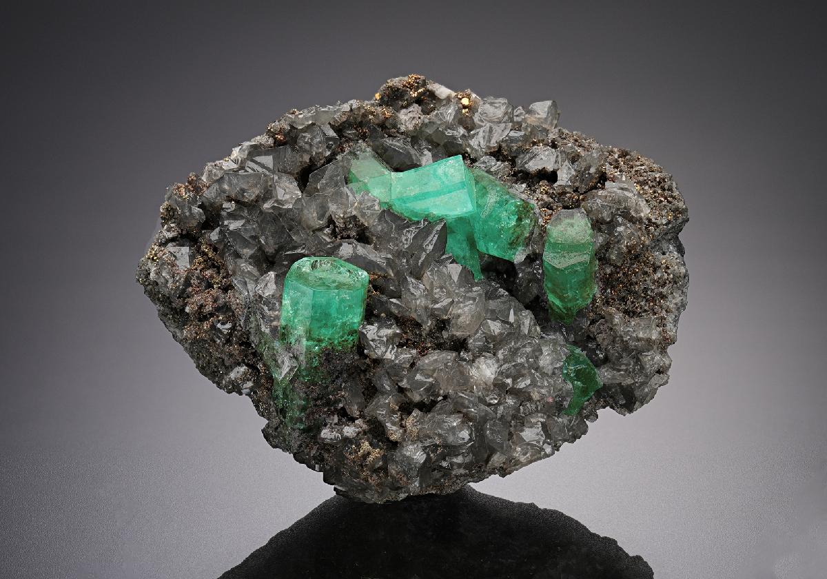 CC22448 specimen image
