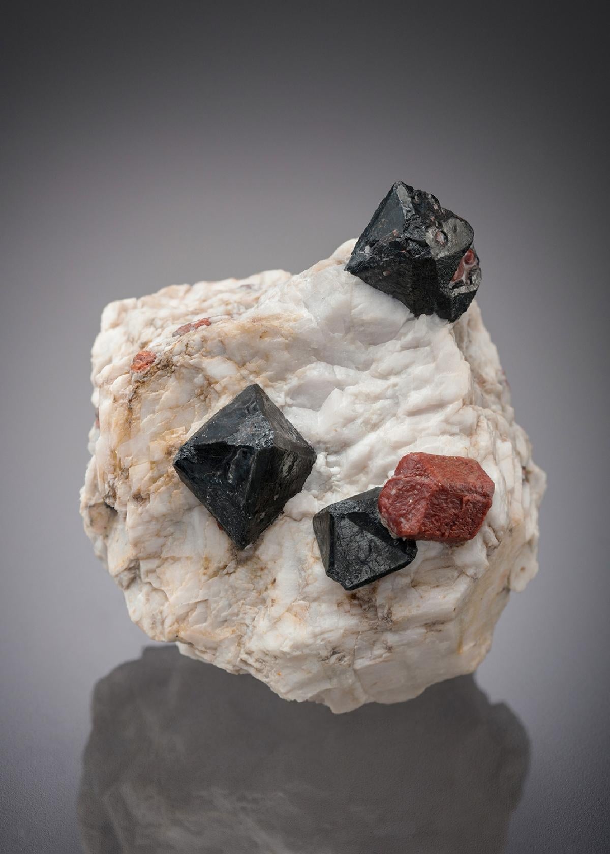 CC26913 specimen image