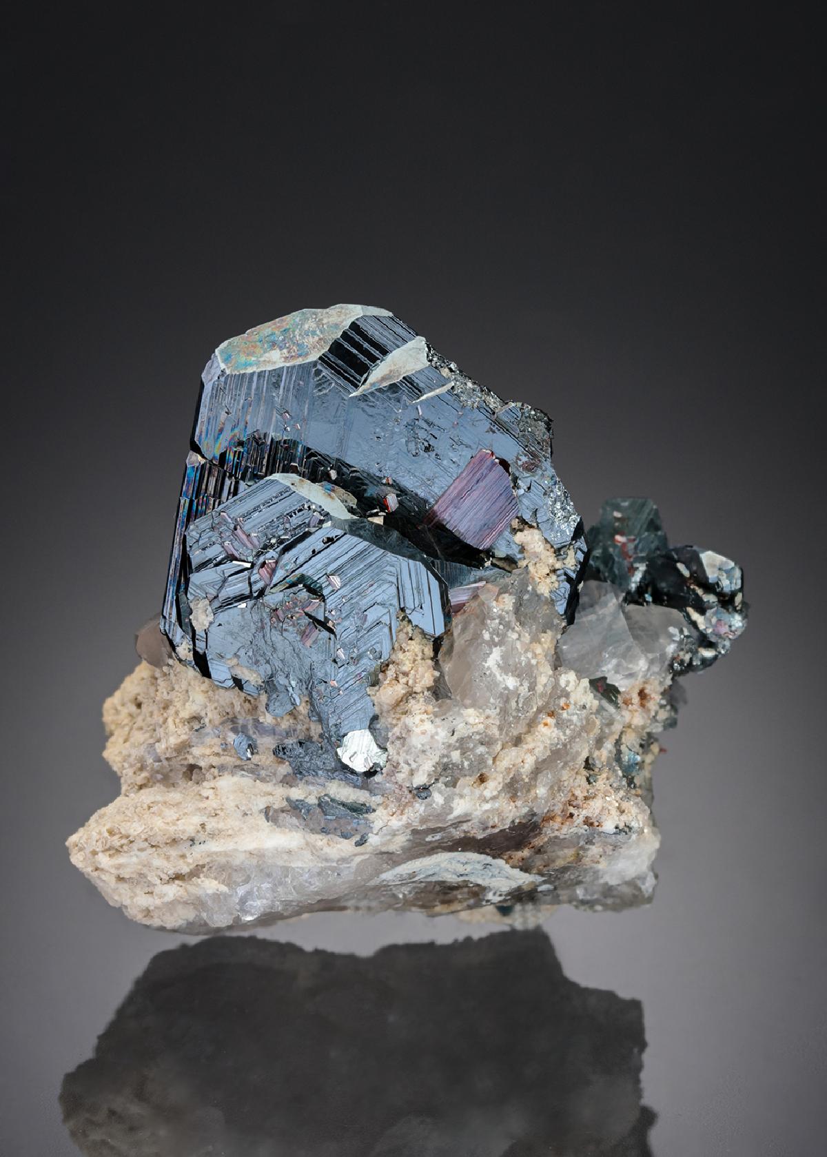 CC26985 specimen image