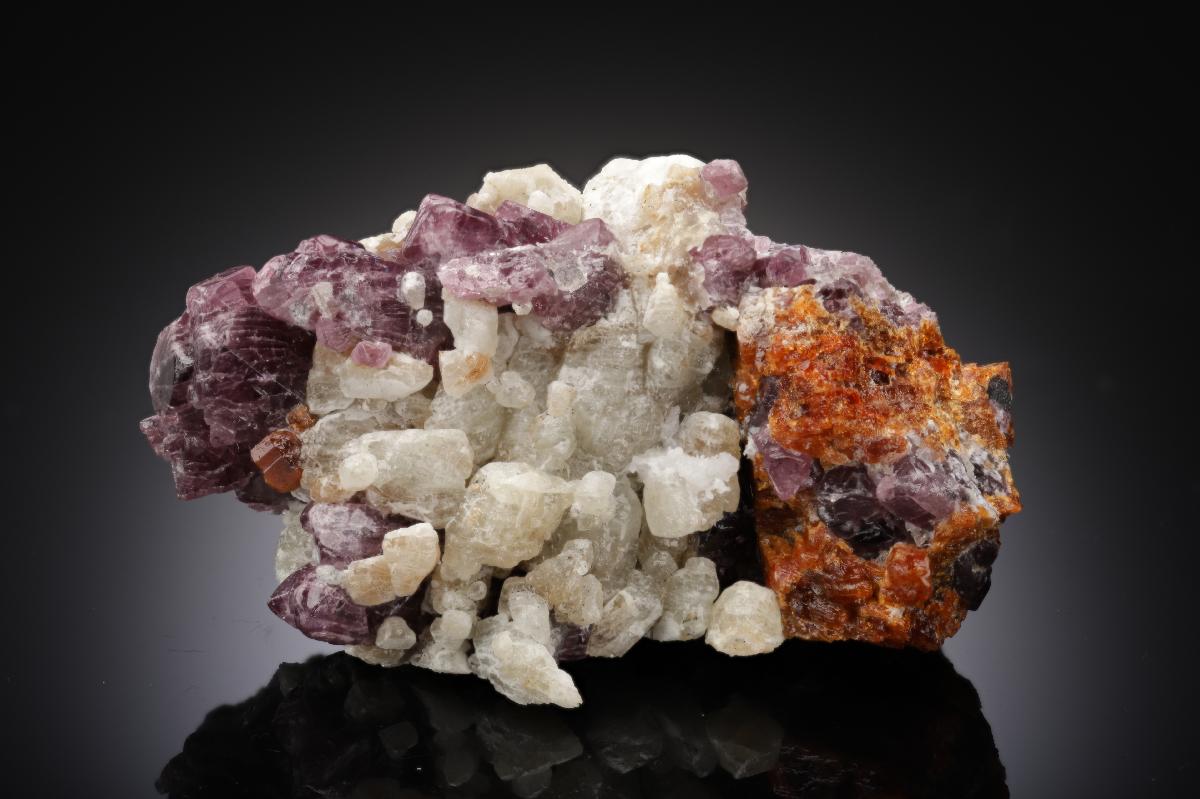 CC27011 specimen image