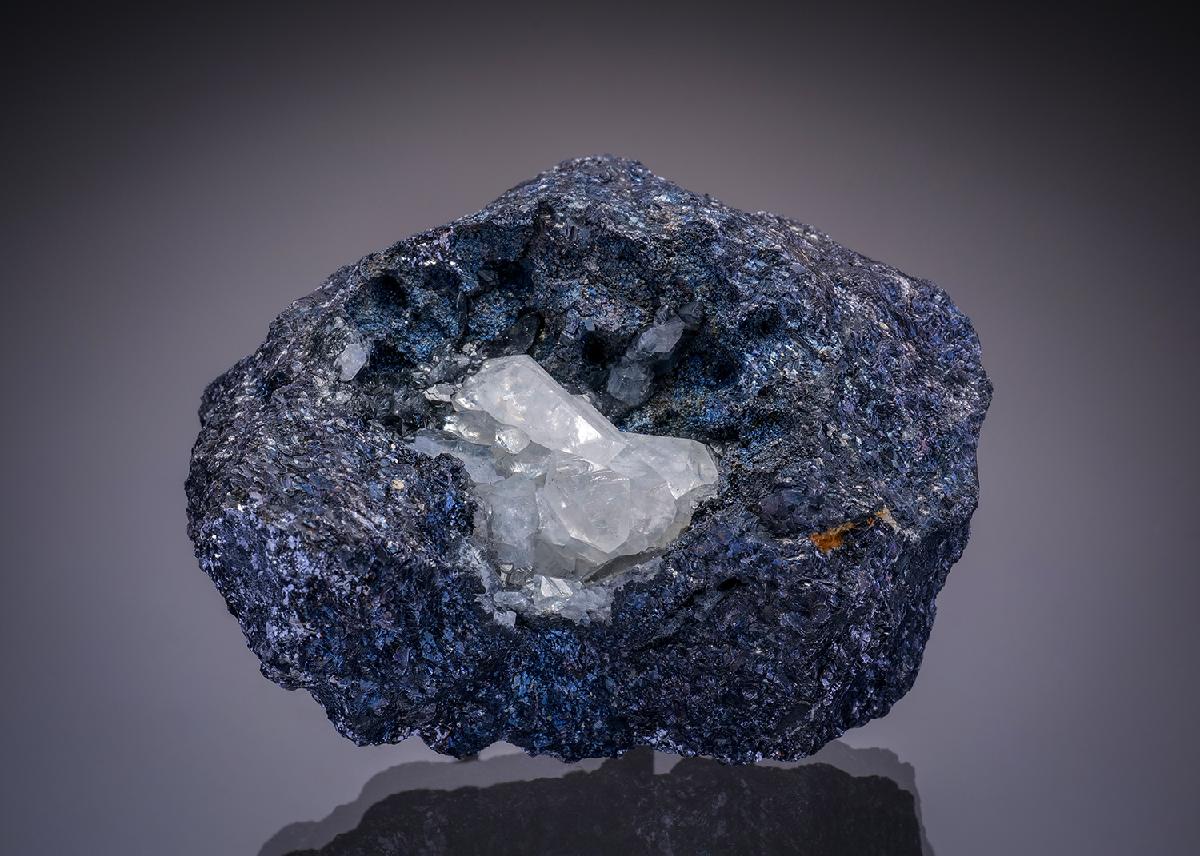 CC27021 specimen image